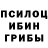 Галлюциногенные грибы GOLDEN TEACHER TP_GLEB Mikhailovsky