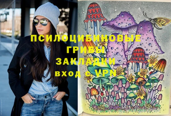 apvp Алексеевка