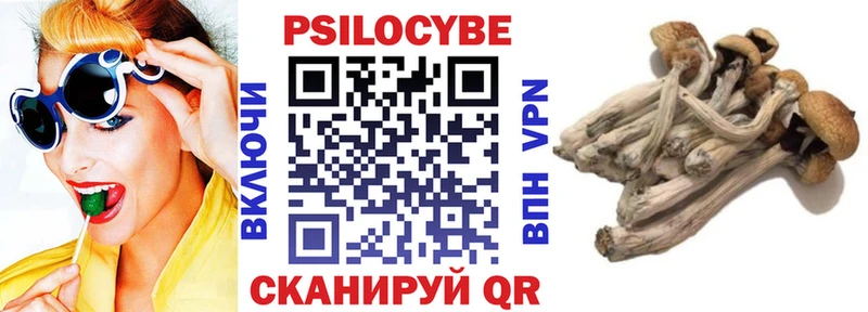 Псилоцибиновые грибы прущие грибы  купить наркоту  ссылка на мегу вход  Лениногорск 